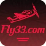 Fly33